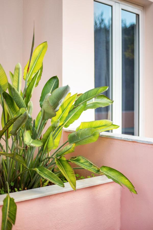 Aphrodite Studios & Apartment Bali  Extérieur photo